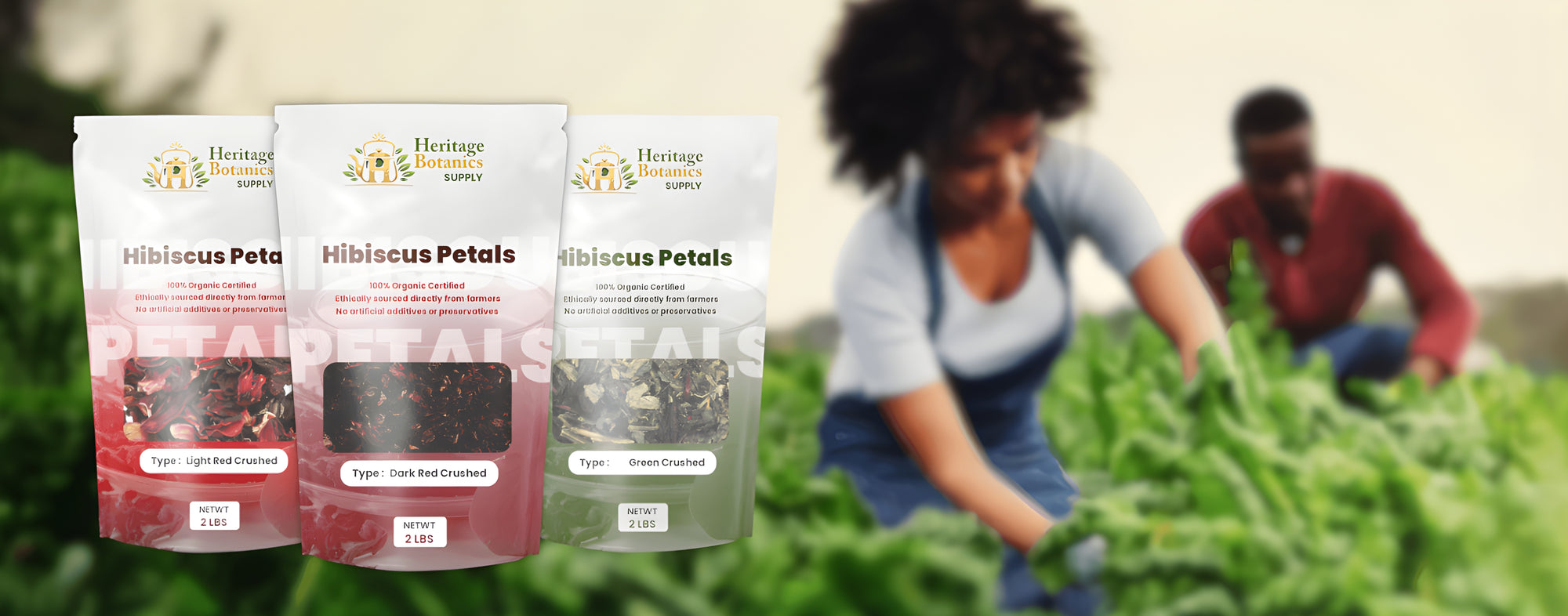Flavours and Pack Sizes